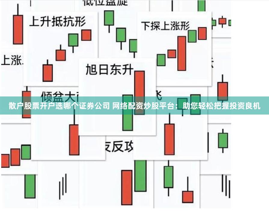 散户股票开户选哪个证券公司 网络配资炒股平台：助您轻松把握投资良机