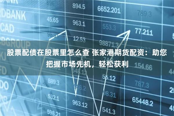 股票配债在股票里怎么查 张家港期货配资：助您把握市场先机，轻松获利