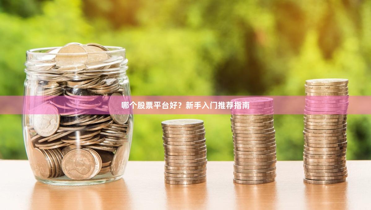 哪个股票平台好？新手入门推荐指南