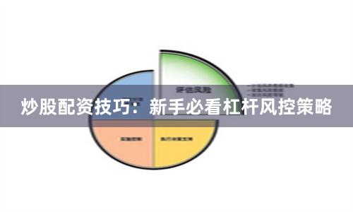 炒股配资技巧:新手必看杠杆风控策略
