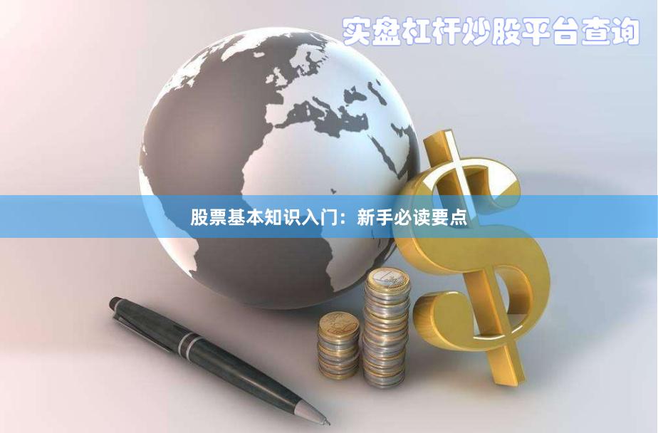 股票基本知识入门：新手必读要点